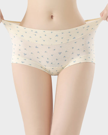 Seamless Antibacterial Cotton Boxer Panties (5 Pack)